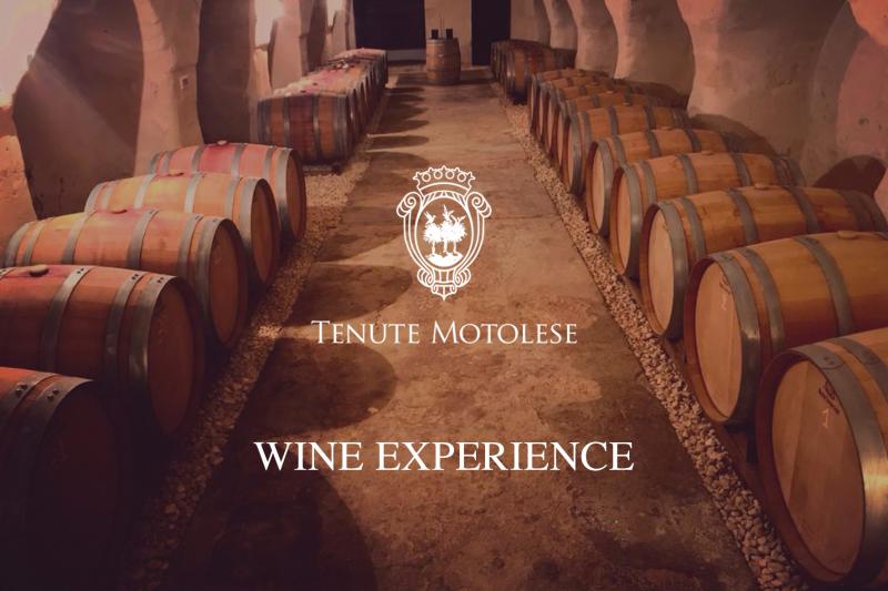 wine experience